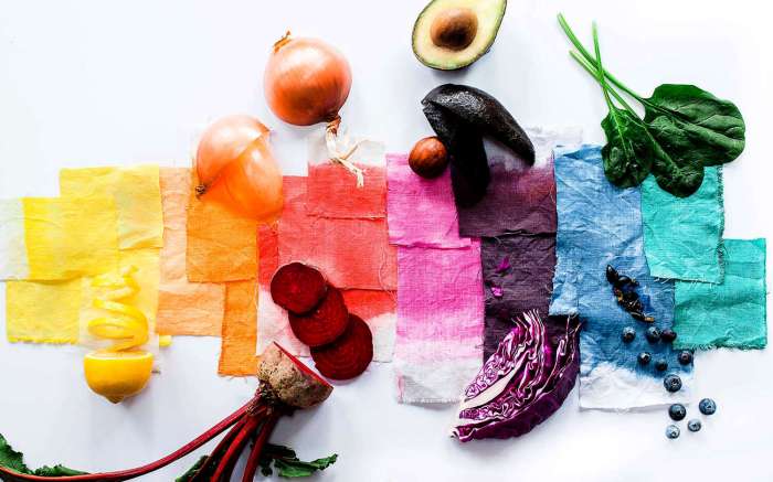 Food fabric dyeing