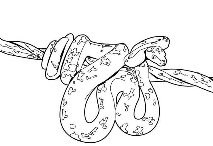 Coloring snake pages