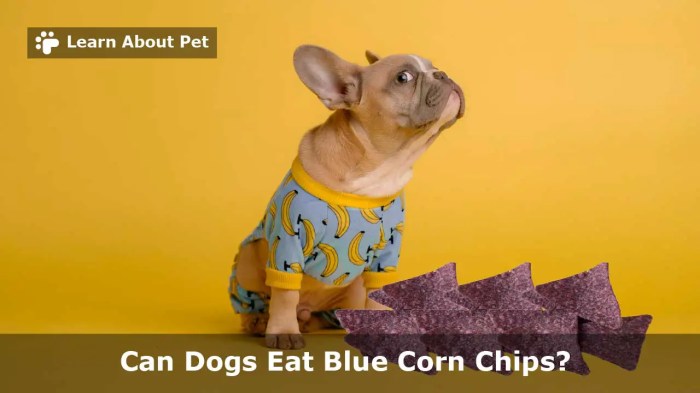 Can dogs have blue food coloring