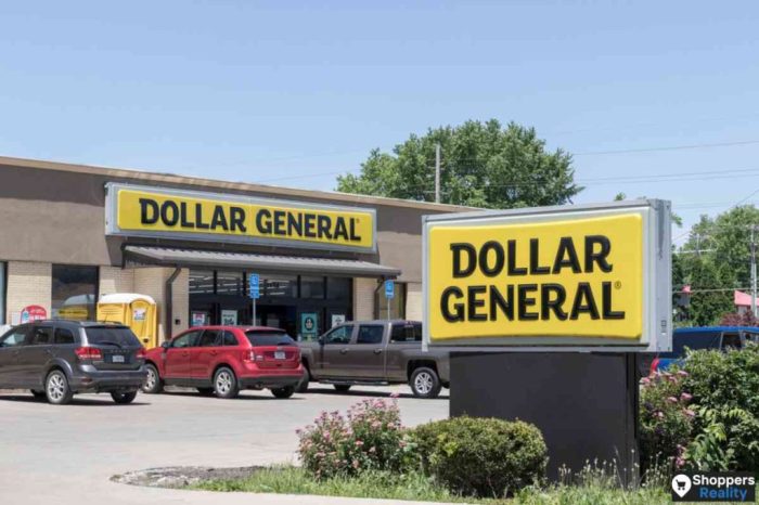 Does dollar general have food coloring