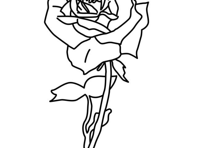 Roses coloring pages