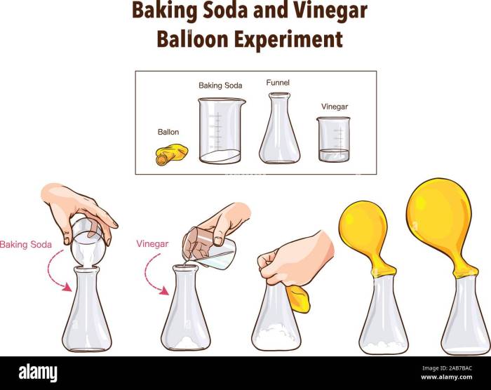 Baking soda vinegar food coloring experiment