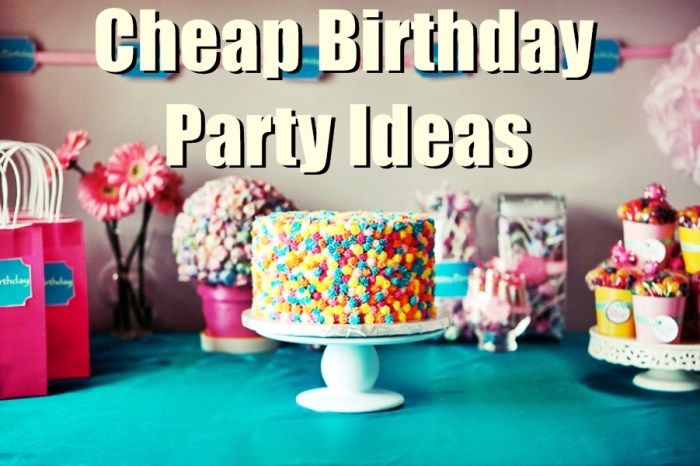 Cheap birthday decoration ideas