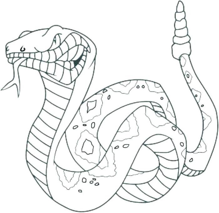 Coloring snake pages