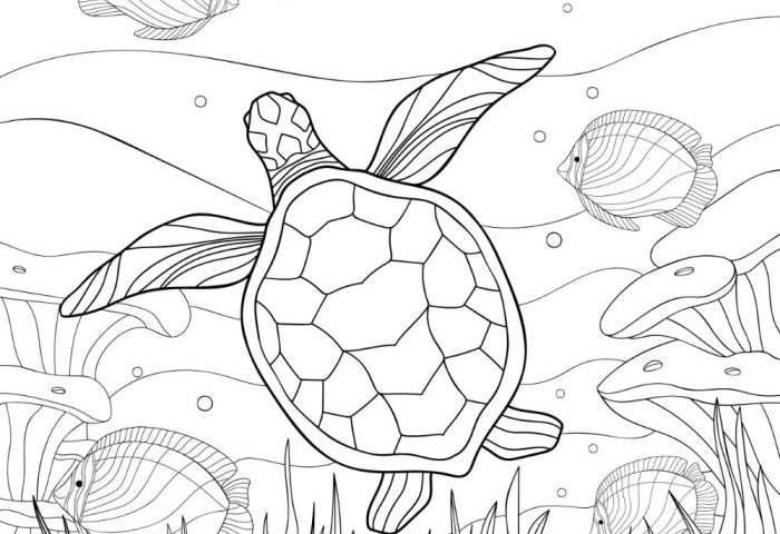 Sea turtle coloring page