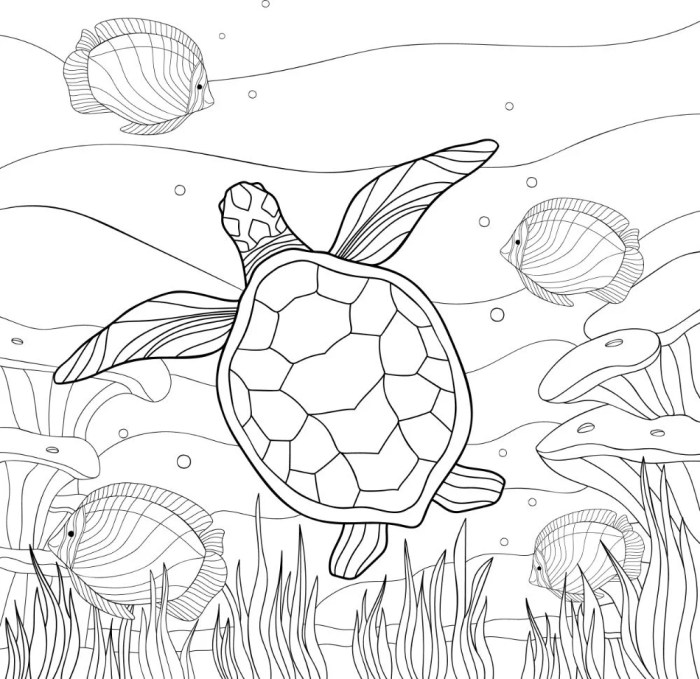 Sea turtle coloring page