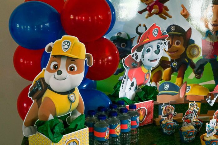 Paw patrol birthday party decoration