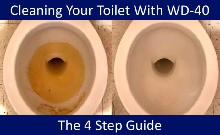 Will food coloring stain a toilet bowl