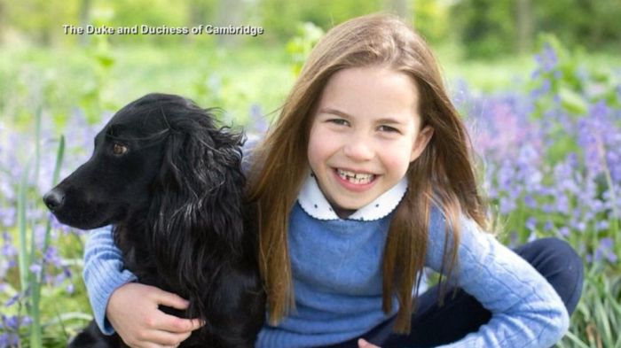 Princess charlotte wedding dress