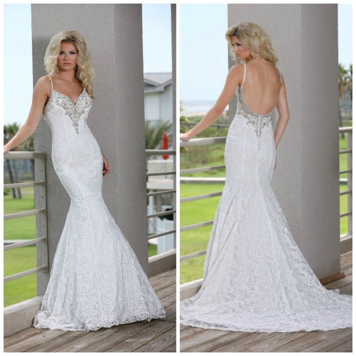 Haian pronovias