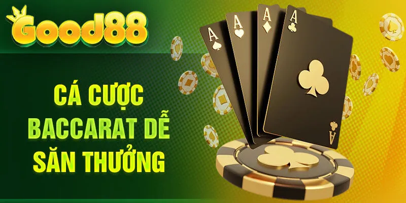 Cá cược Baccarat dễ săn thưởng